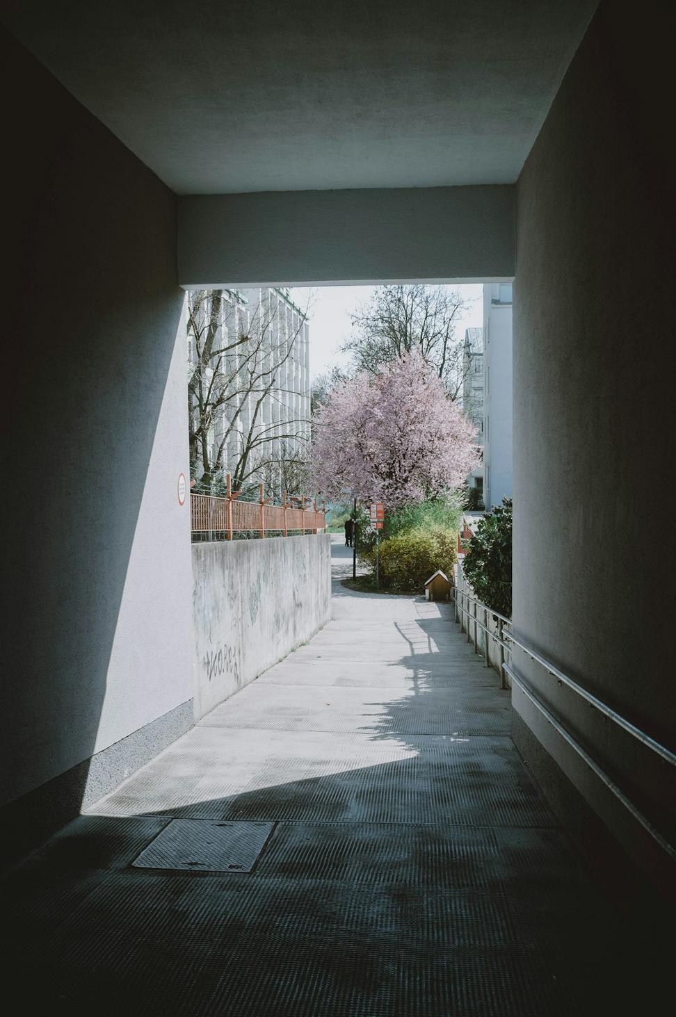 Point Grey Laneway