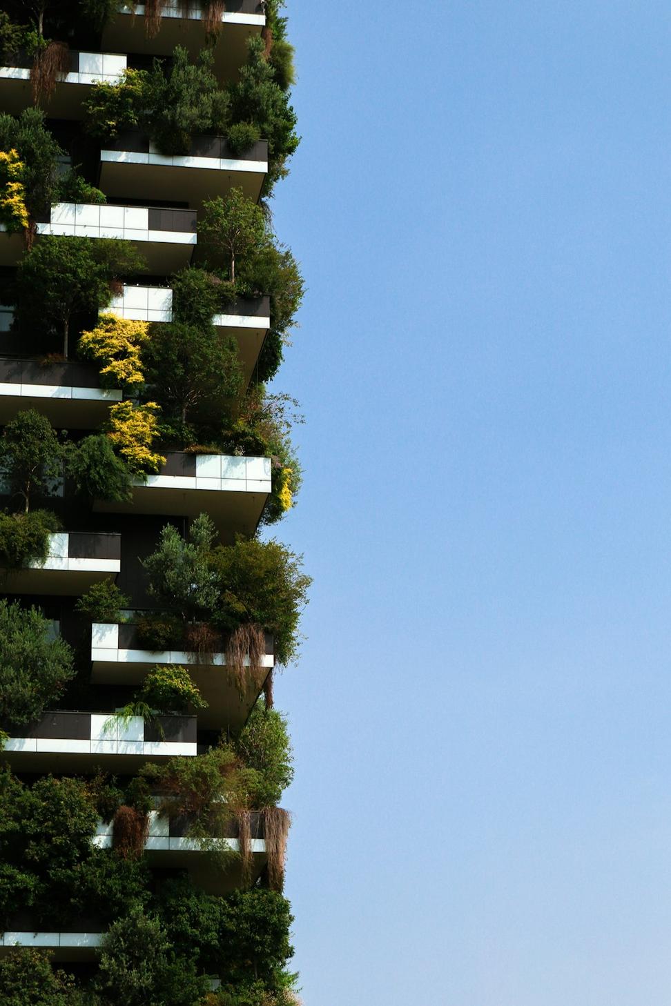Sustainable Architecture